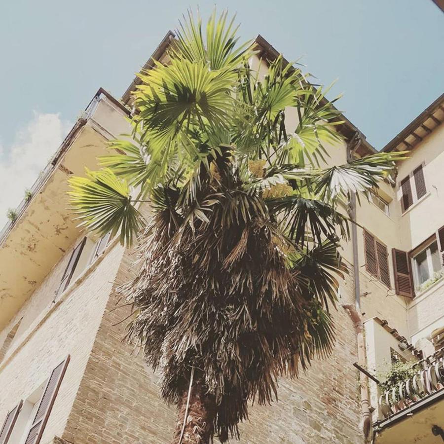 Bed and Breakfast Break And Bed Perugia Zewnętrze zdjęcie